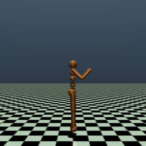 human